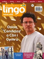 Lingo Newydd